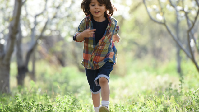 Què és i quines mesures conté un conveni regulador de guarda i custòdia?